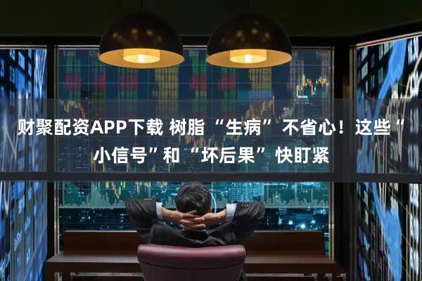 财聚配资APP下载 树脂 “生病” 不省心！这些“小信号”和 “坏后果” 快盯紧