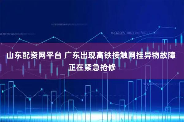 山东配资网平台 广东出现高铁接触网挂异物故障 正在紧急抢修