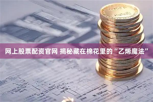 网上股票配资官网 揭秘藏在棉花里的“乙烯魔法”