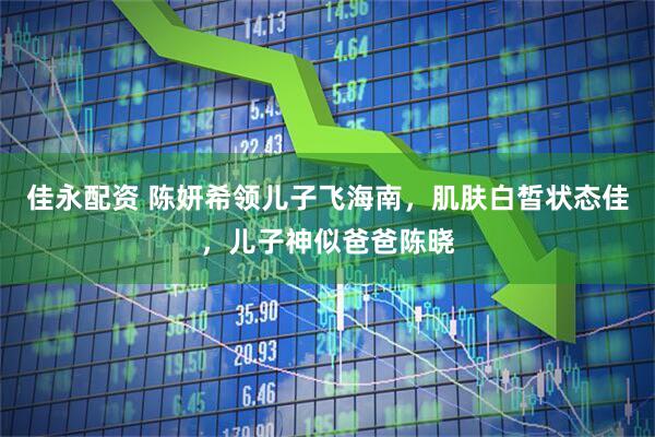 佳永配资 陈妍希领儿子飞海南，肌肤白皙状态佳，儿子神似爸爸陈晓